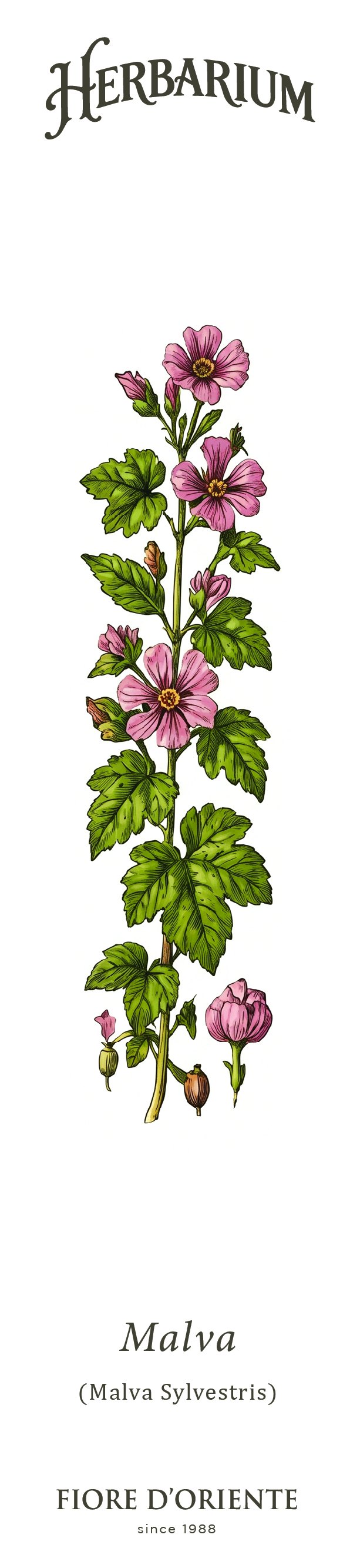 Segnalibro Herbarium - La Malva