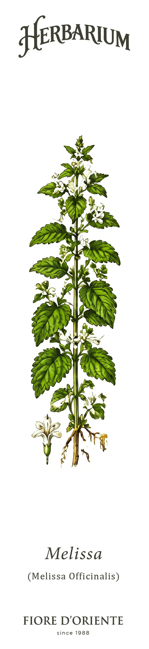 Segnalibro Herbarium - La Melissa