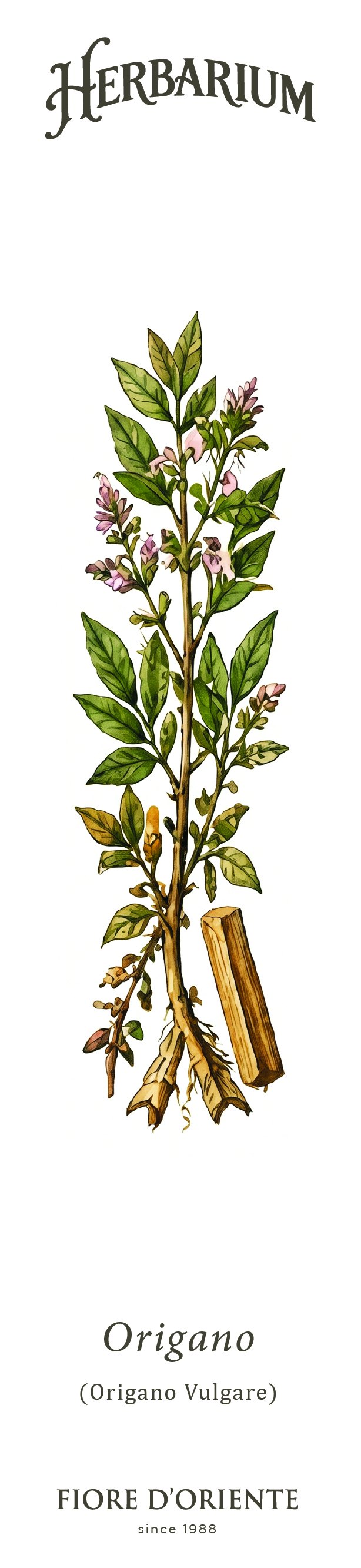 Segnalibro Herbarium - L'Origano