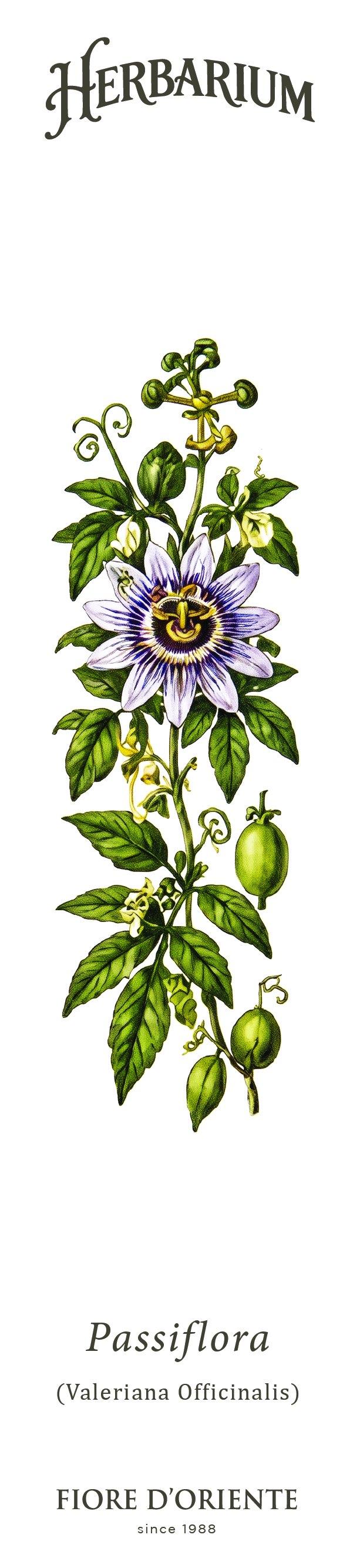 Segnalibro Herbarium - La Passiflora