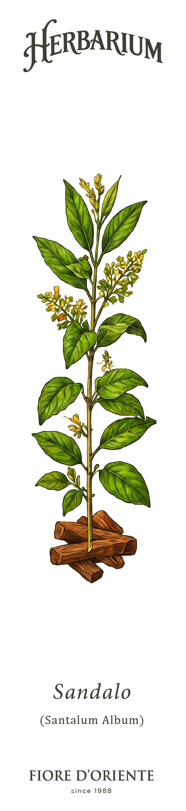 Segnalibro Herbarium - Il Sandalo