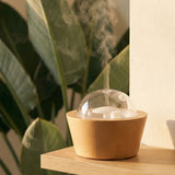 Upload the image to the Gallery viewer, Flower ultrasonic aroma diffuser