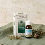 Upload the image to the Gallery viewer, Natural Essential Oil - Cypress