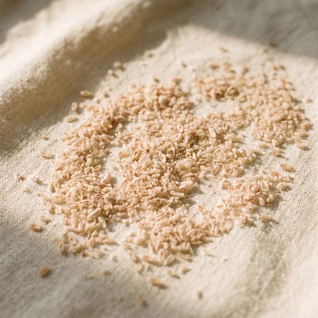 Psyllium Husk Texture