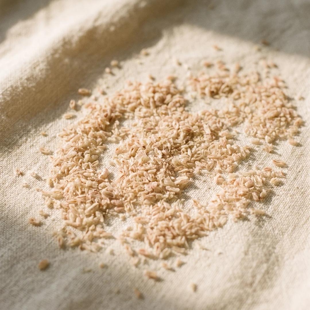 Psyllium Husk Texture