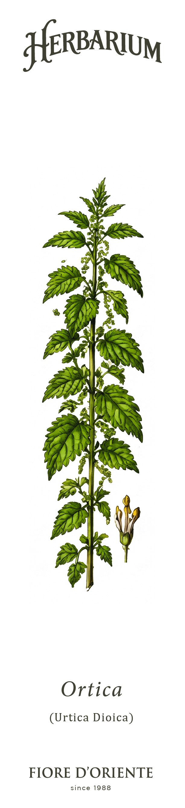Segnalibro Herbarium - L'Ortica