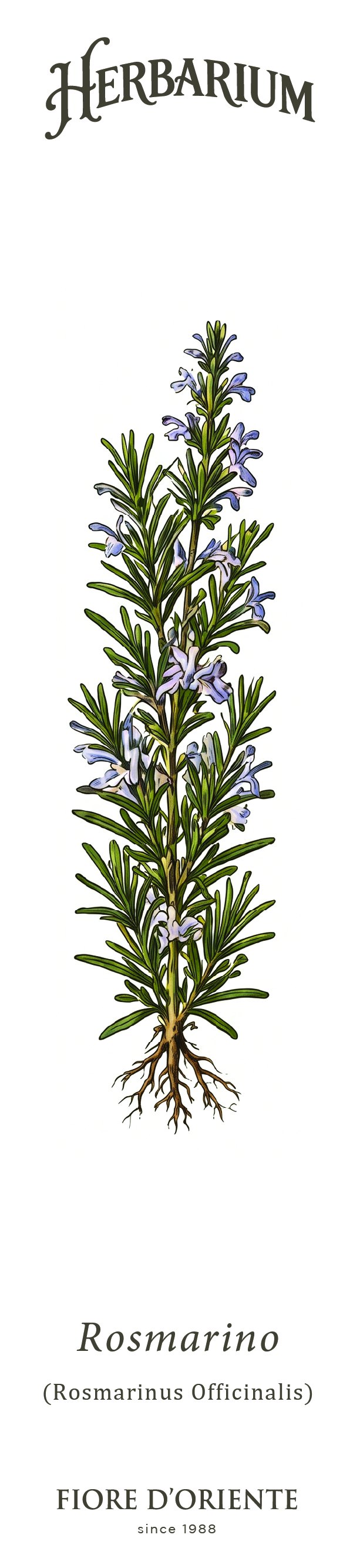 Segnalibro Herbarium - Il Rosmarino