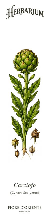 Il Carciofo