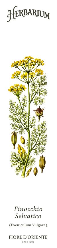 Il Finocchio Selvatico