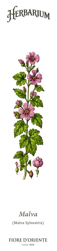 La Malva
