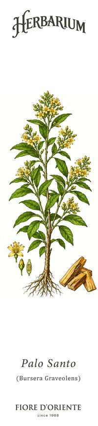 Il Palo Santo