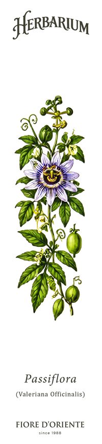 La Passiflora