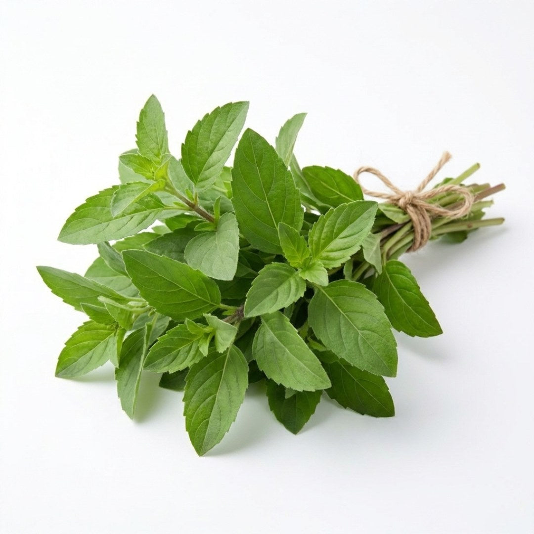 Tulsi Original Filters 30 gr