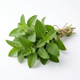 Carica l'immagine nel visualizzatore di Gallery, Tulsi Original Foglie 100 g – Miscela Biologica delle Tre Varietà Sacre