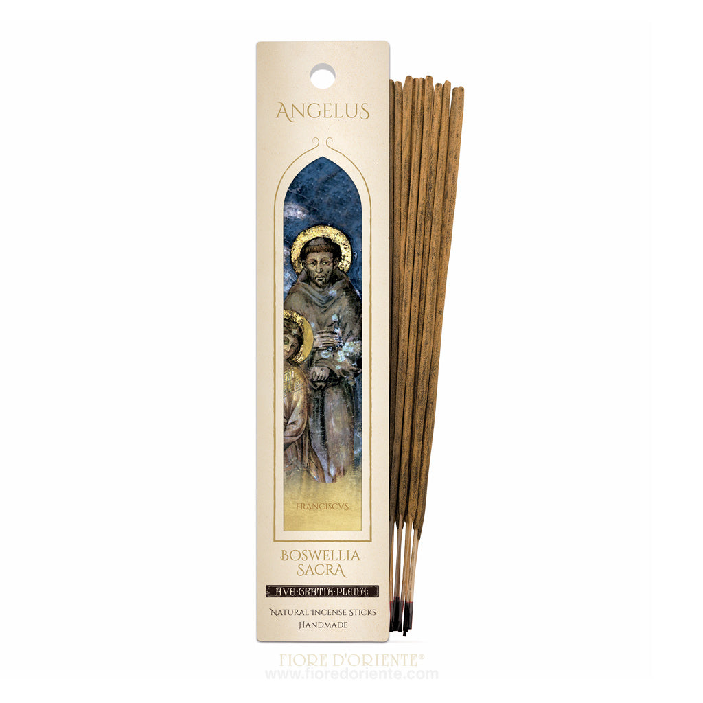 Incenso Indiano (Boswellia Serrata - Foto 8