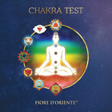 Upload the image to the Gallery viewer, Chakra Test