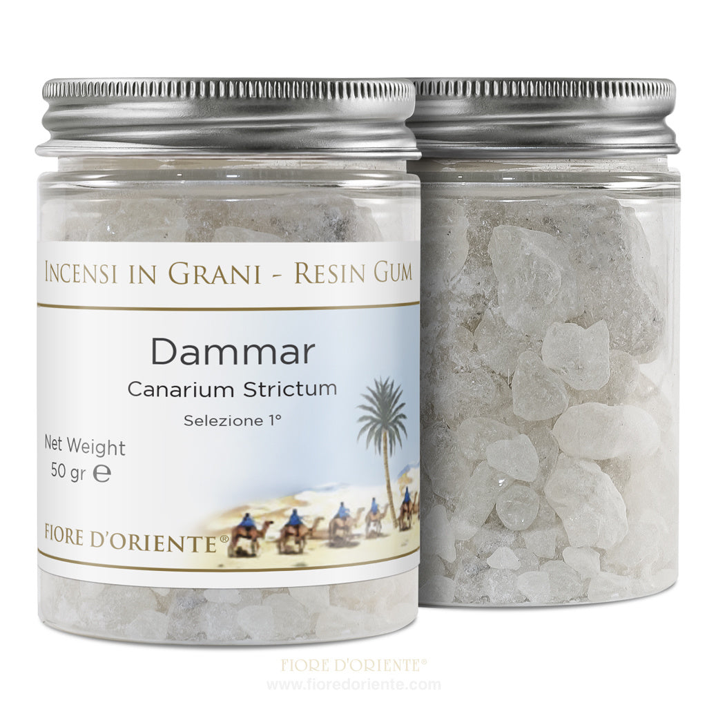 Dammar – Resina Naturale 50 g